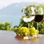 Letní vinný festival v Bezručových sadech
